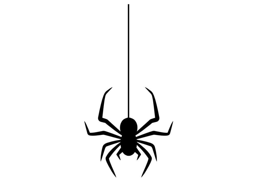 araña2