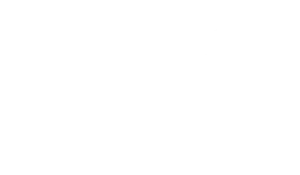 cabalgata