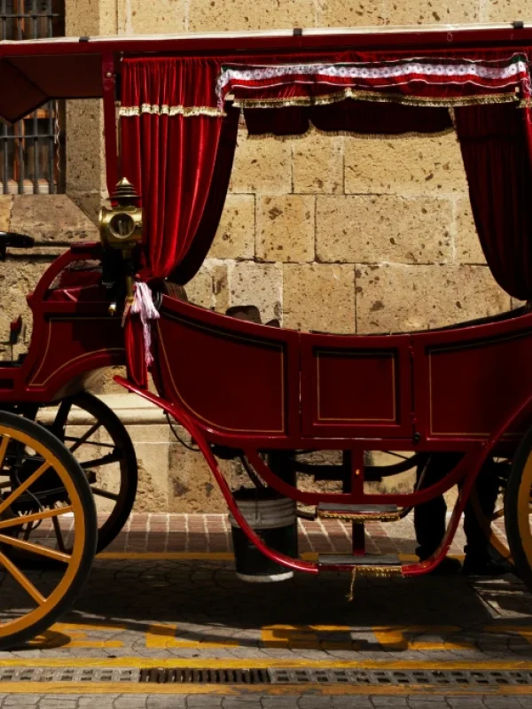 carruajes de caballos