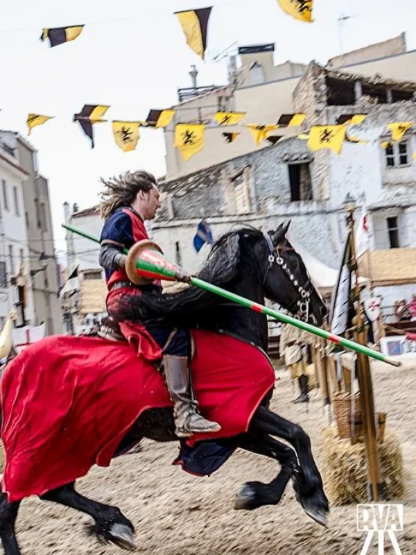 torneo medieval