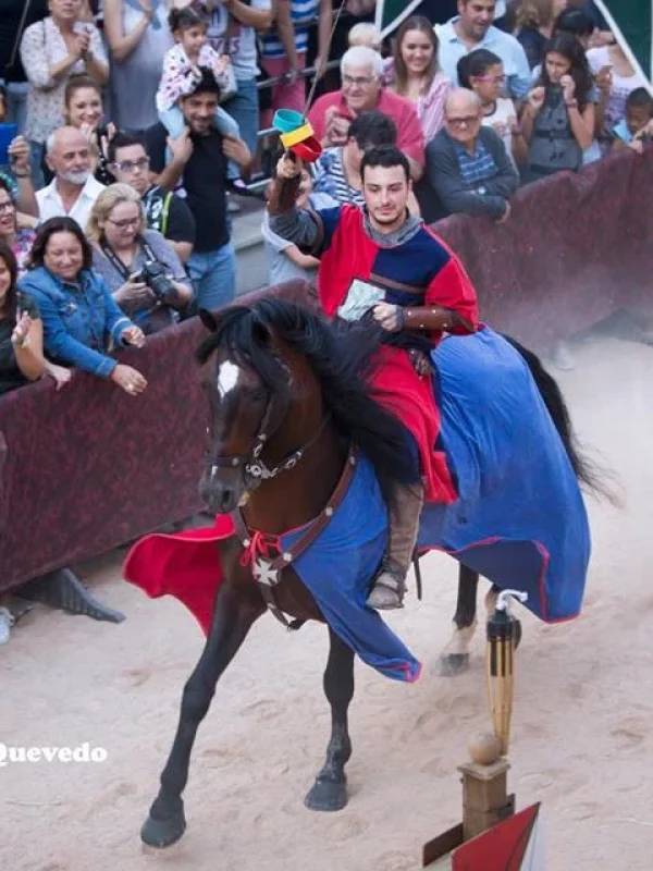 torneo medieval