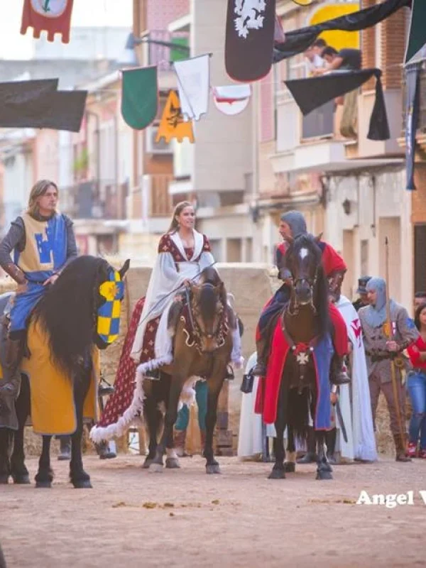torneo medieval