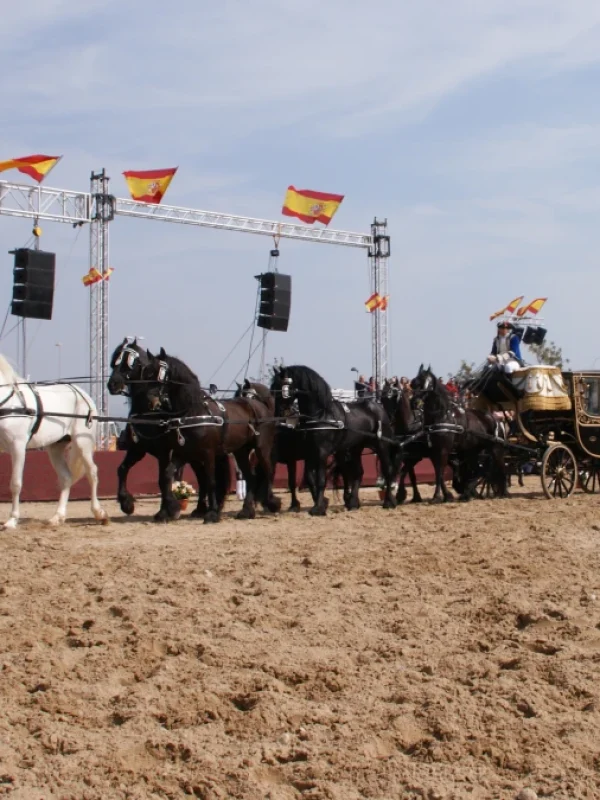 carruajes de caballos