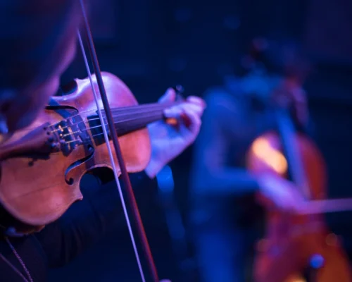 musica en directo