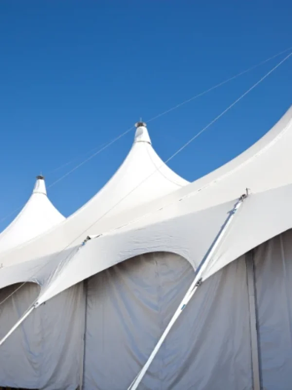 alquiler de carpas