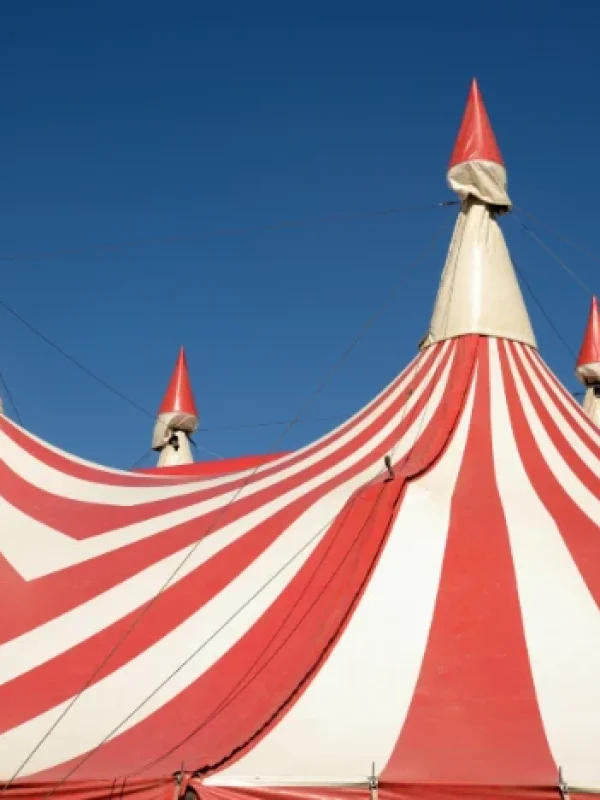 alquiler de carpas