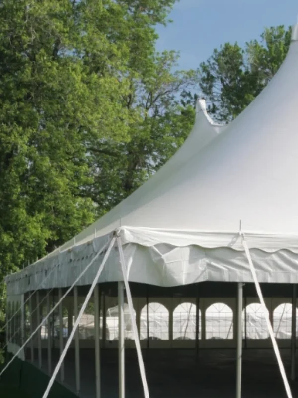 alquiler de carpas