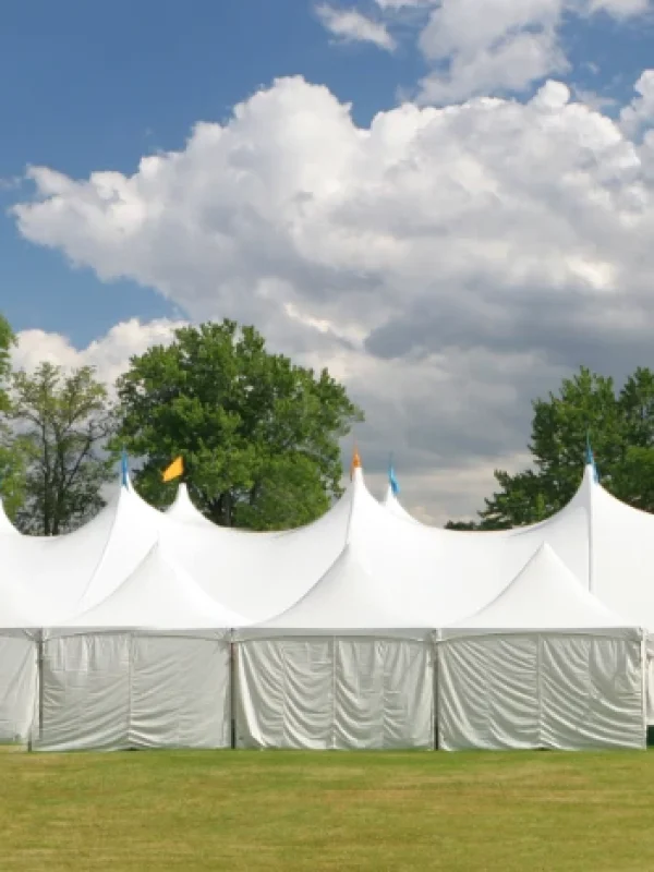 alquiler de carpas