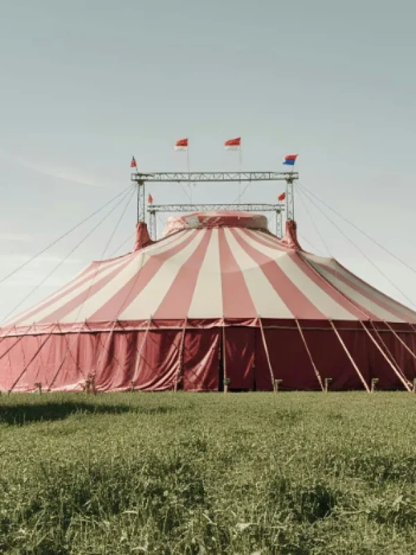 alquiler de carpas