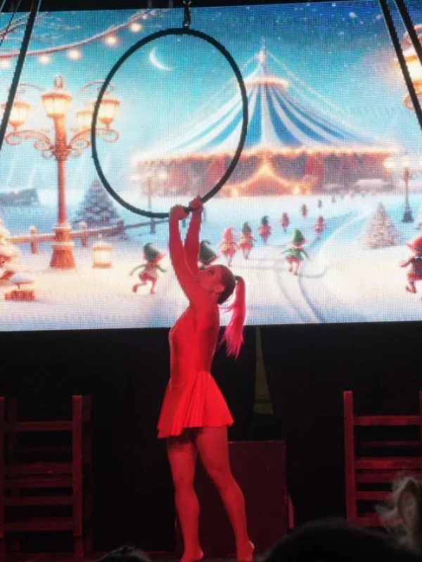 Shows de circo winter