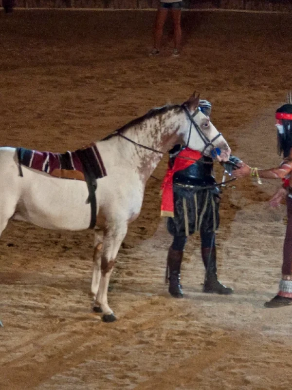 La conquista del oeste