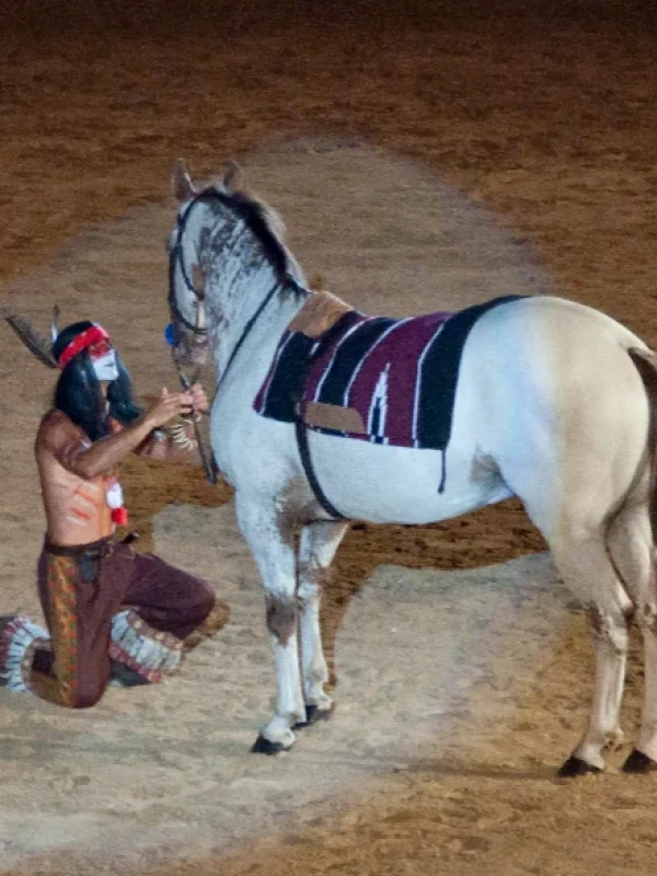La conquista del oeste