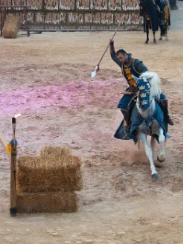 torneo medieval
