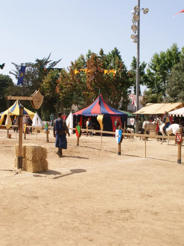 torneo medieval