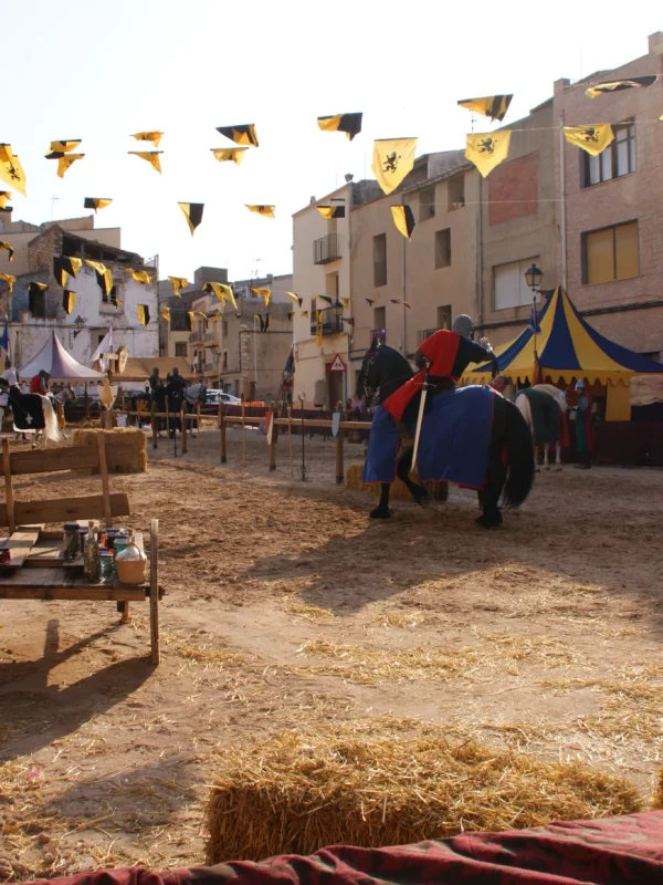 torneo medieval