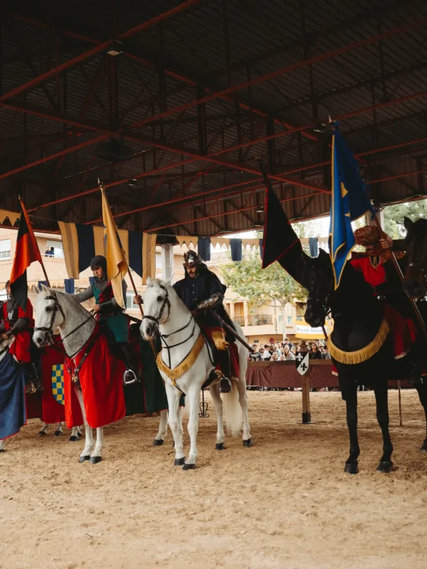 el torneo del rey