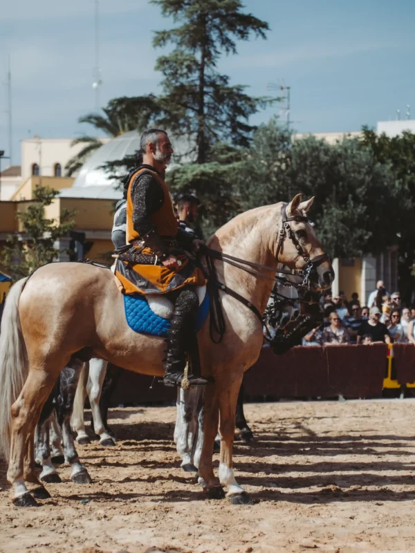 el torneo del rey