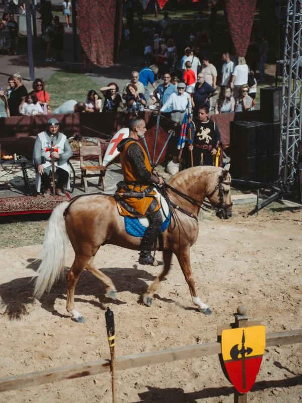 el torneo del rey