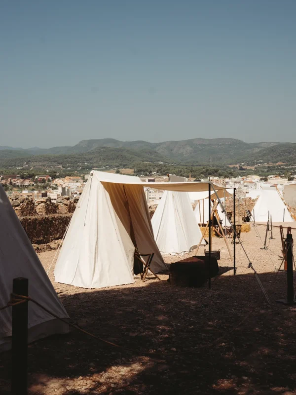 alquiler de carpas