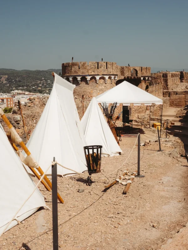 alquiler de carpas