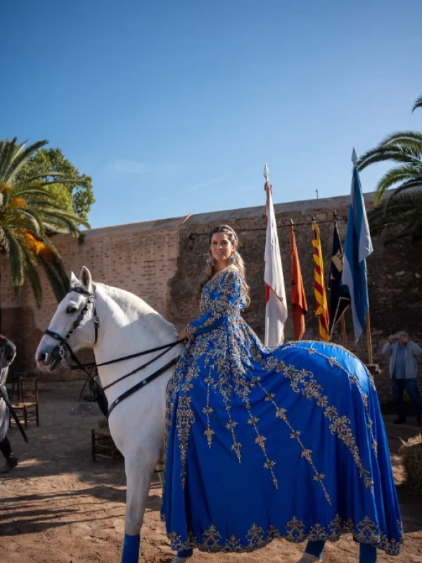 torneo medieval
