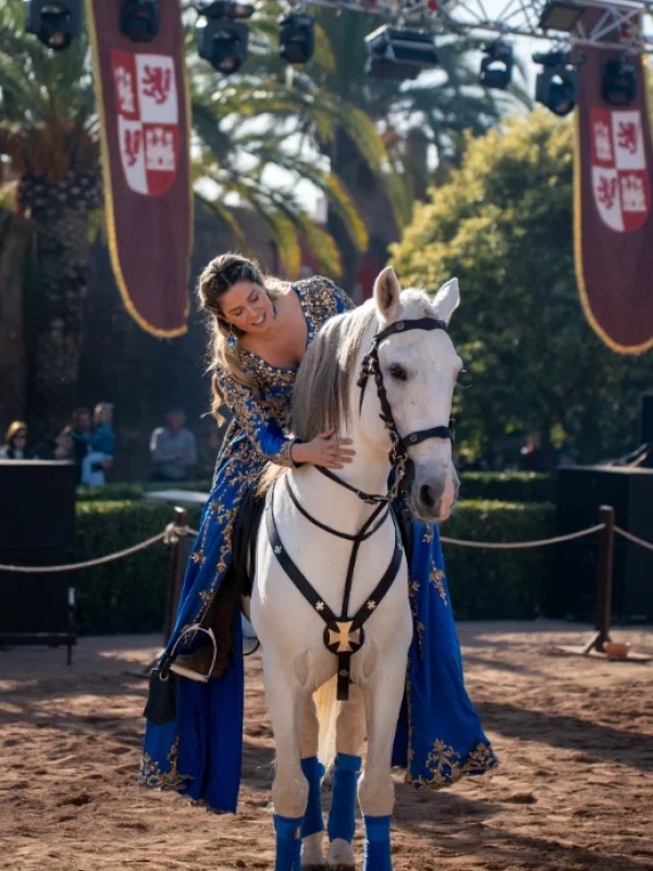 torneo medieval