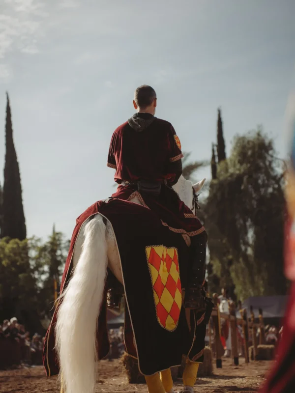 el torneo del rey