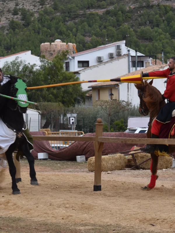 torneo medieval
