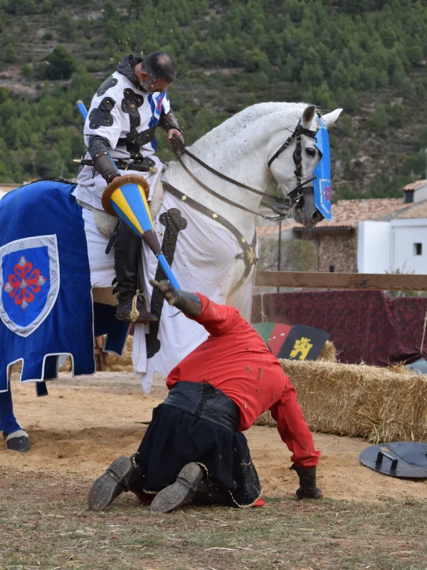 torneo medieval