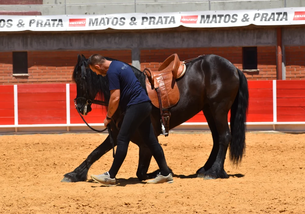 Jornada infantil ecuestre