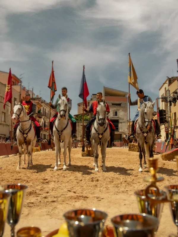torneo medieval