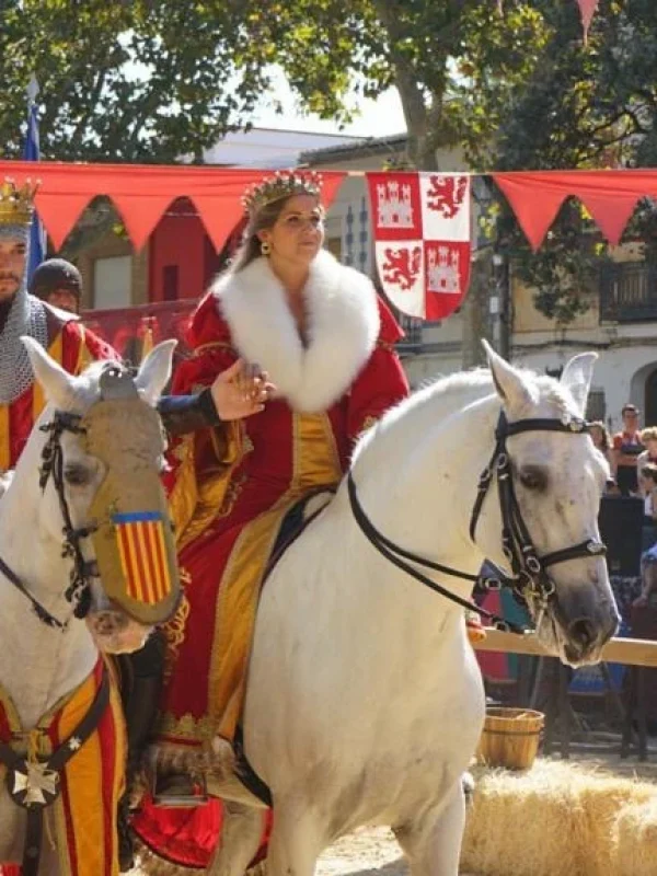 torneo medieval