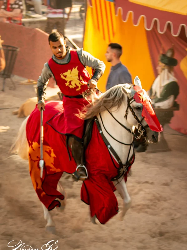 torneo medieval