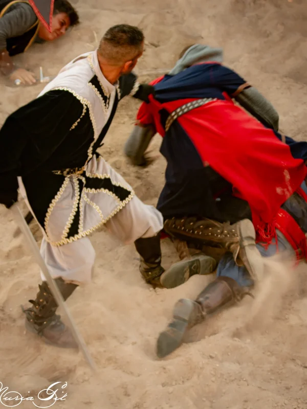 torneo medieval