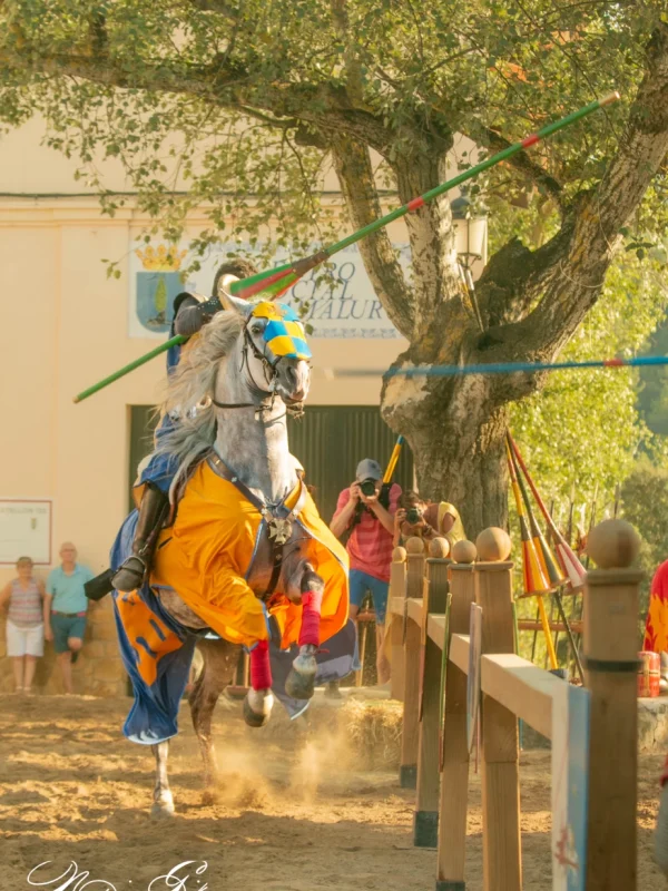 torneo medieval
