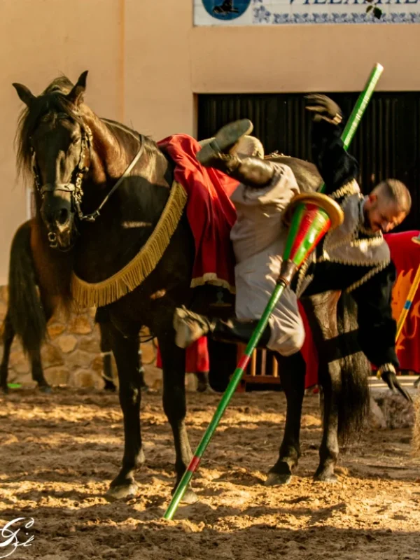 torneo medieval