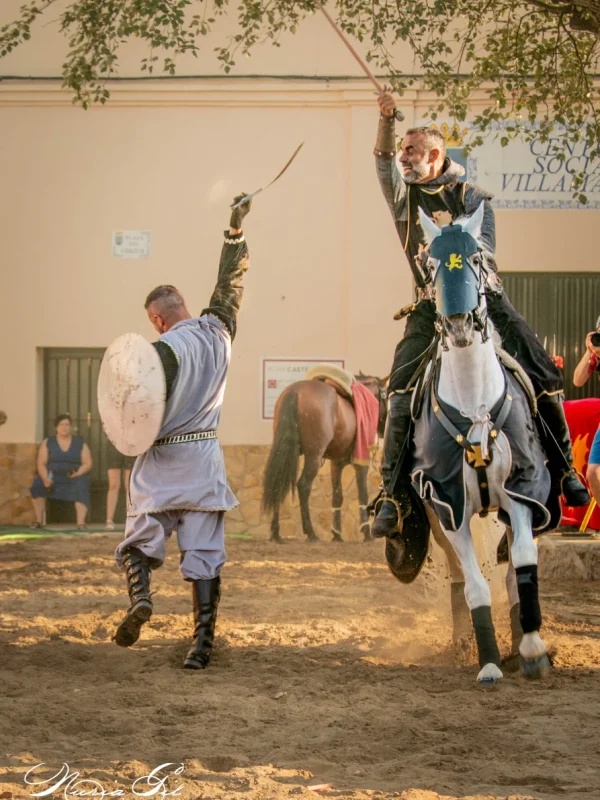 torneo medieval