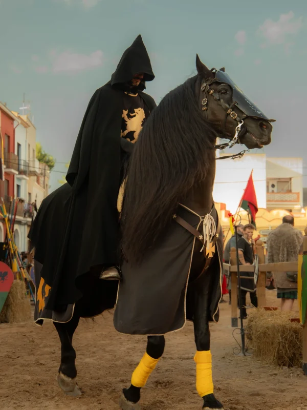 torneo medieval