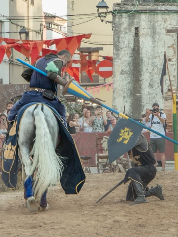 torneo medieval