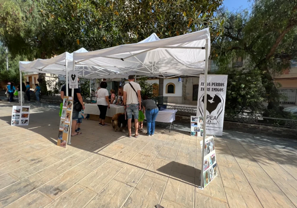 Jornada infantil ecuestre