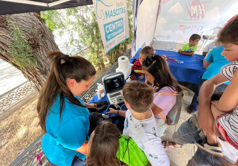 Jornada infantil ecuestre