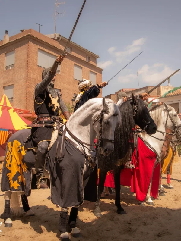 torneo medieval