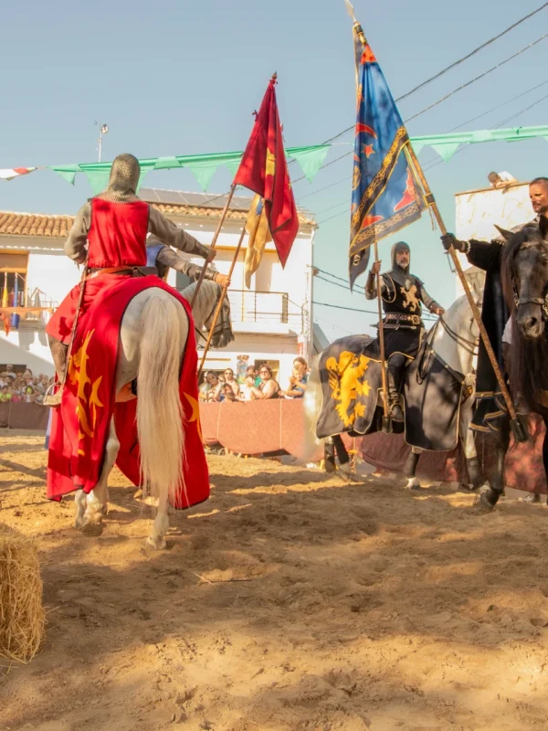 torneo medieval