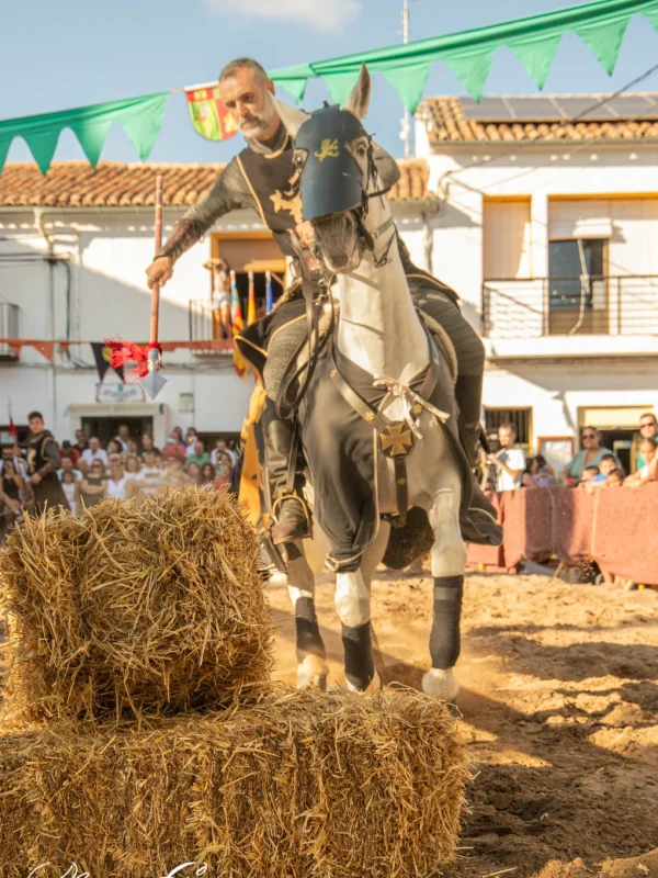 torneo medieval