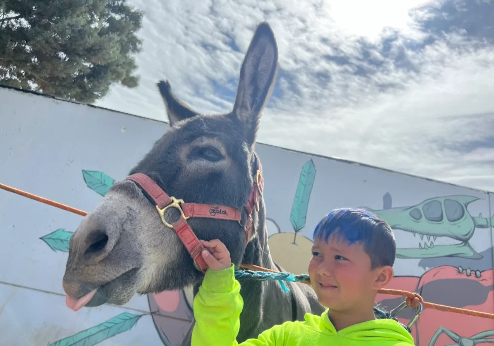 Jornada infantil ecuestre