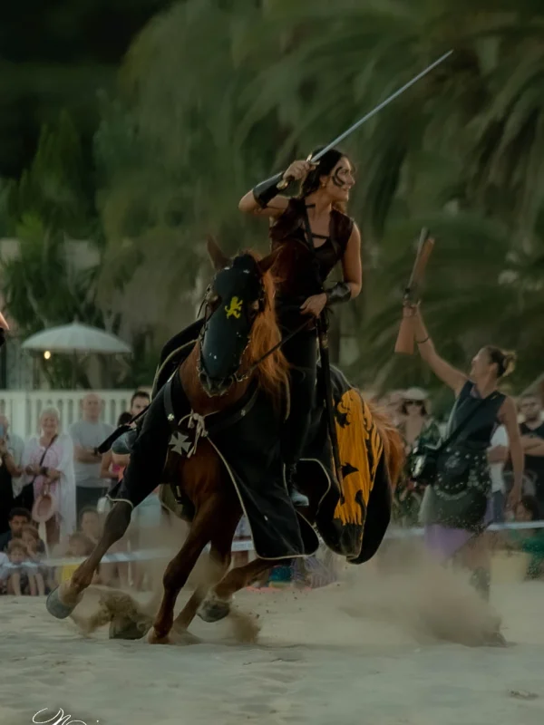 torneo medieval