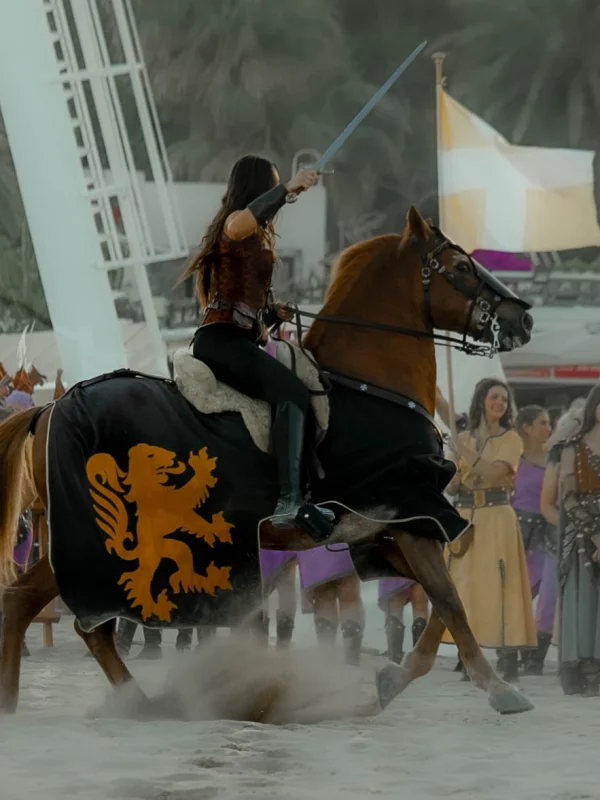 torneo medieval
