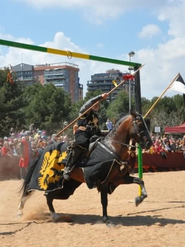 torneo medieval