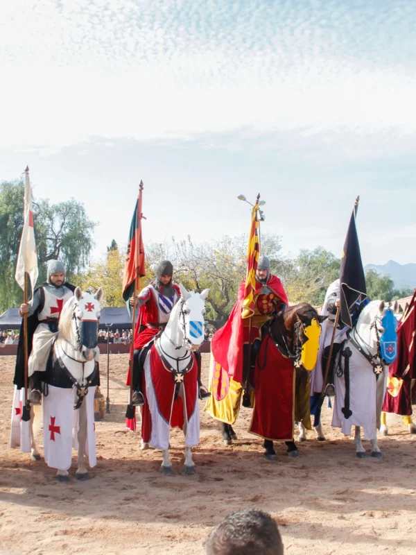 torneo medieval