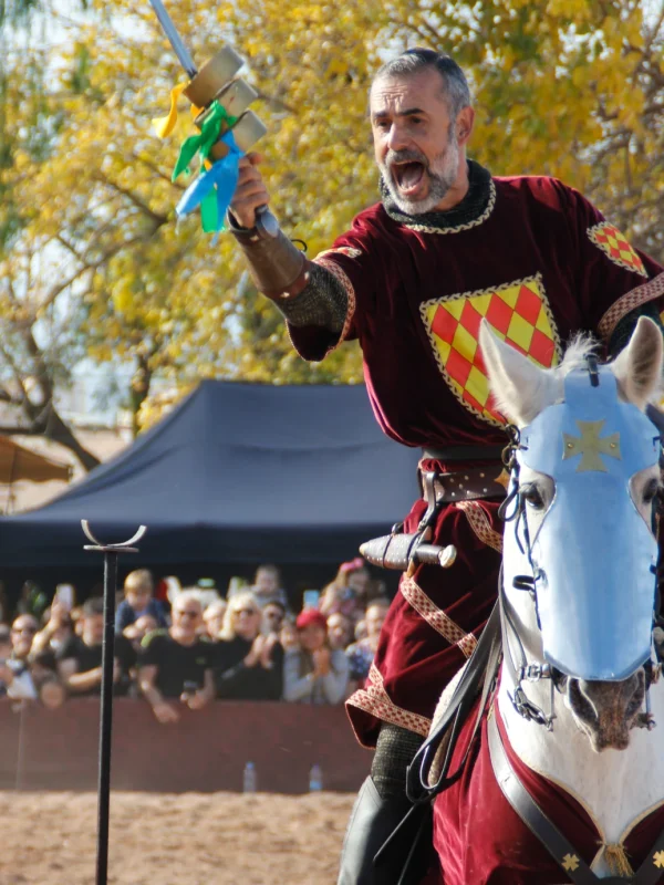 torneo medieval